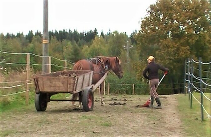 Sekalaiset
