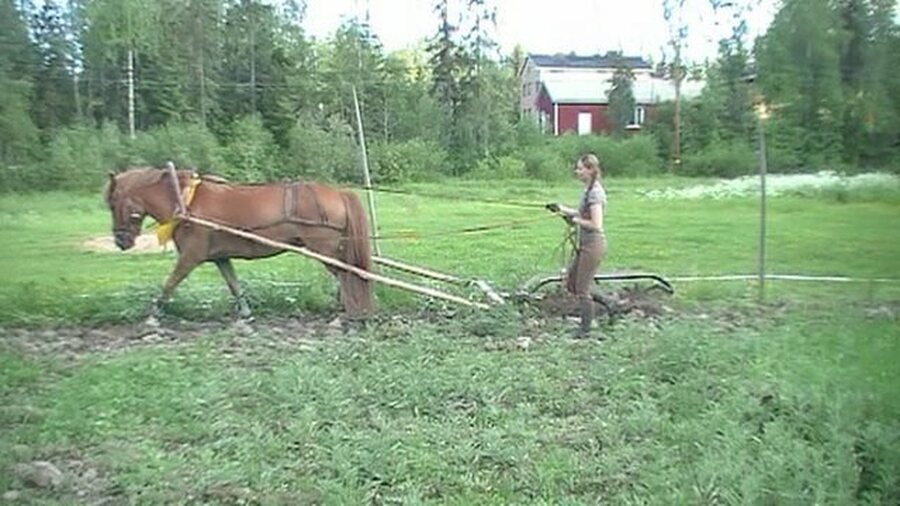Ajaminen