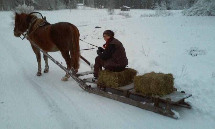 Ajaminen