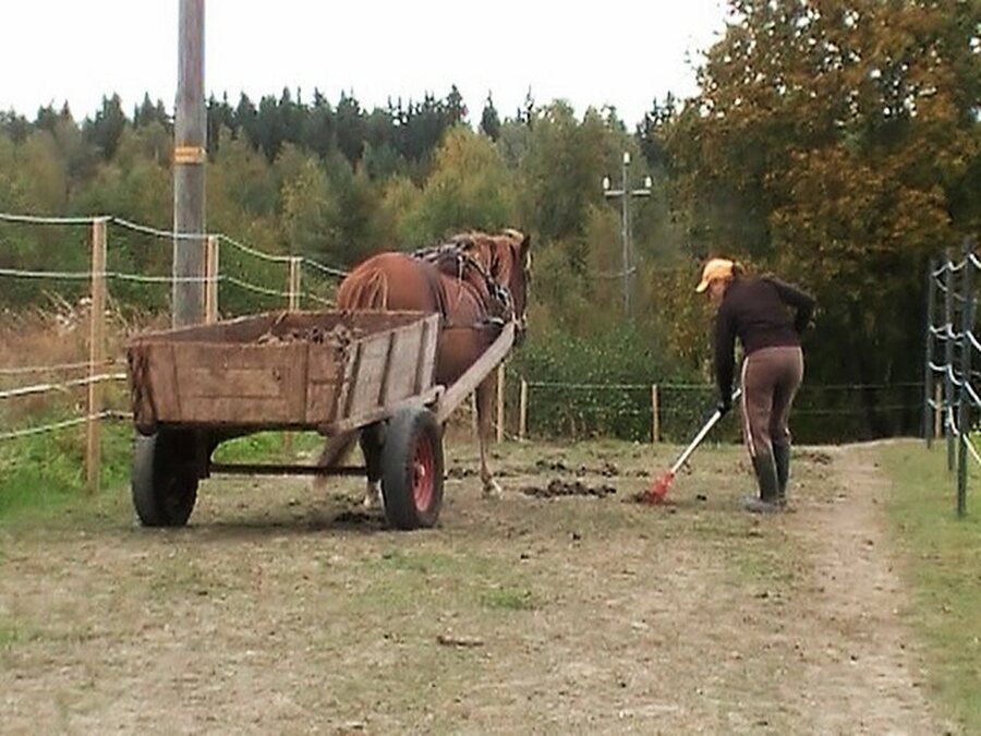 Ajaminen
