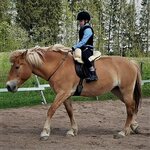 Päivi Huhtanen - Hellät hevostunnit, Ylöjärvi