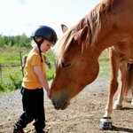 HeHKu™ Hevosen Kanssa -Lasten talvikurssi 4h