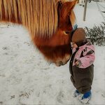 HeHKu™ -Hevosen Kanssa, Aikuisten talvikurssi 2 x 2h