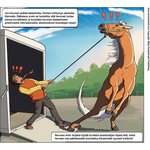 Hevosen mieli -Tiedettä sarjakuvina