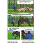 Hevosen mieli -Tiedettä sarjakuvina