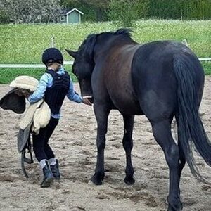 Päivi Huhtanen - Hellät hevostunnit etänä