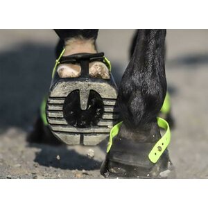 Scoot Trail -gaiter, pehmusteet, 4kpl/paketti