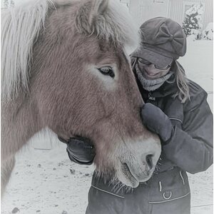HeHKu™ -Hevosen Kanssa, Aikuisten talvikurssi 2 x 2h