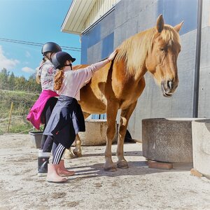 HeHKu™ Hevosen Kanssa -Lasten talvikurssi 4h