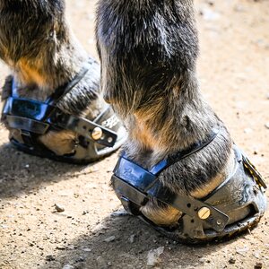Scoot Adjust (Enduro) -bootsit