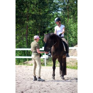 Aino Koivukunnas Istuntatunti asiakkaan hevosella, 60 min (max 30 km Järvenpäästä)