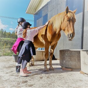 HeHKu™ -Mielentaitoja hevosen kanssa